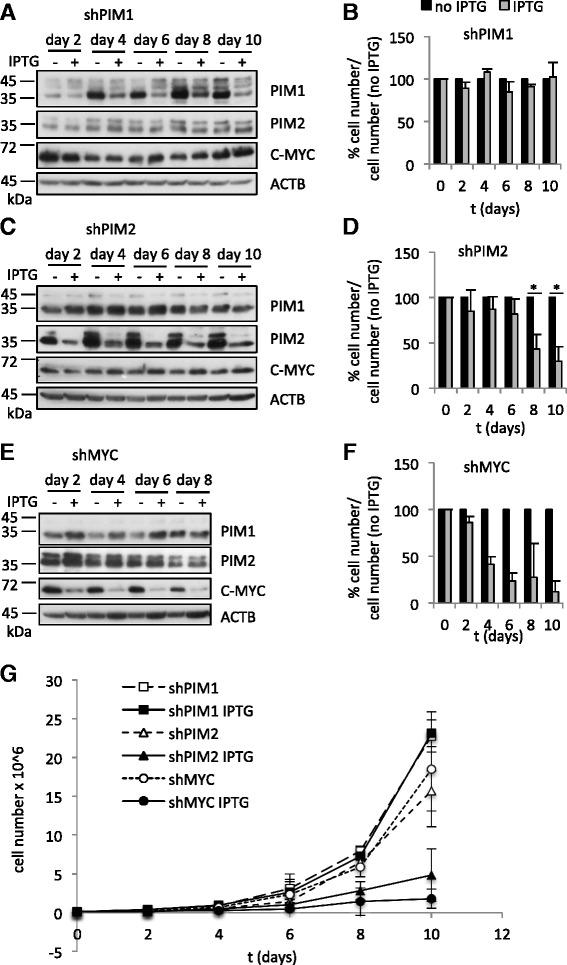 https://cdn.ncbi.nlm.nih.gov/pmc/blobs/f921/4672512/1333949fdf46/12943_2015_477_Fig2_HTML.jpg