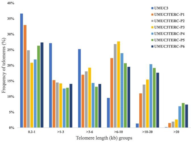 https://cdn.ncbi.nlm.nih.gov/pmc/blobs/f922/11514468/cb6893a9c378/gkae812fig11.jpg