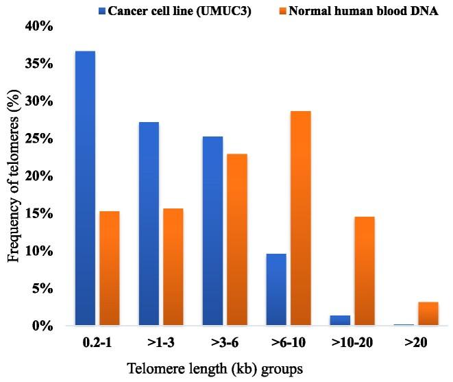 https://cdn.ncbi.nlm.nih.gov/pmc/blobs/f922/11514468/fa57b1ee022e/gkae812fig10.jpg