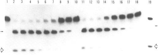 https://cdn.ncbi.nlm.nih.gov/pmc/blobs/f923/309433/4fcf769ce3fd/nar00057-0235-a.jpg