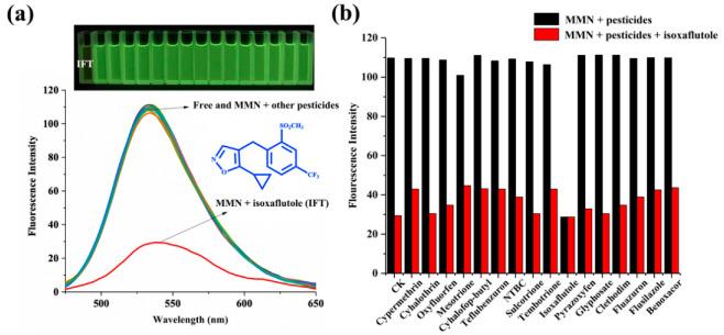 https://cdn.ncbi.nlm.nih.gov/pmc/blobs/f923/9181397/7ff43801dc7f/ijms-23-06256-g006.jpg