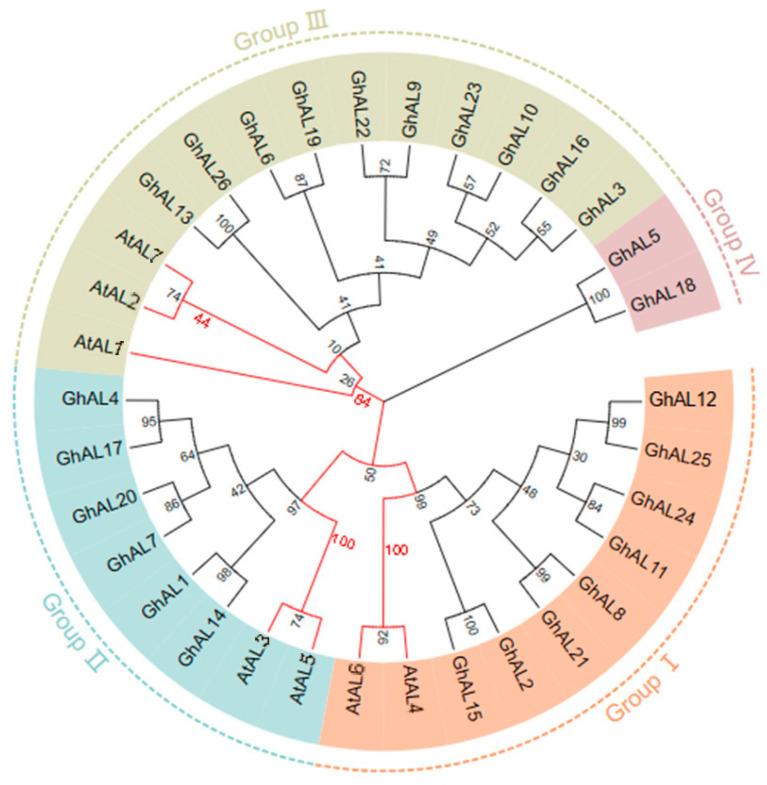 https://cdn.ncbi.nlm.nih.gov/pmc/blobs/f926/11243875/de8647e1b657/plants-13-01831-g001.jpg