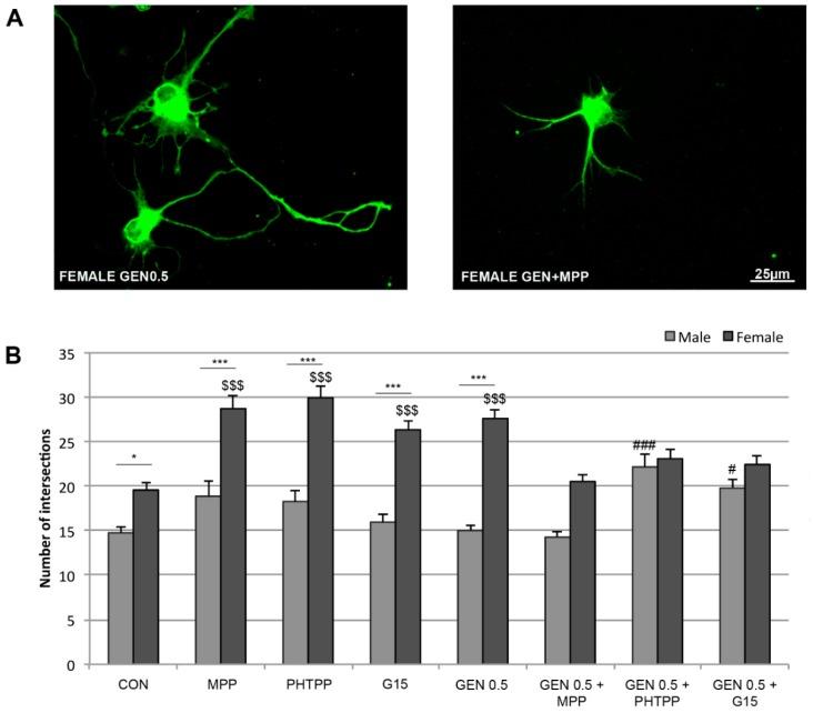 https://cdn.ncbi.nlm.nih.gov/pmc/blobs/f928/6567056/751ce73a8f33/ijms-20-02465-g004.jpg