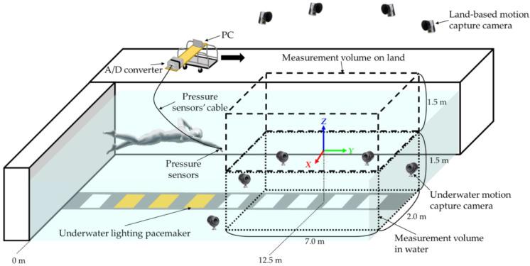 https://cdn.ncbi.nlm.nih.gov/pmc/blobs/f928/9460320/8a3f6254fbe3/sensors-22-06695-g005.jpg