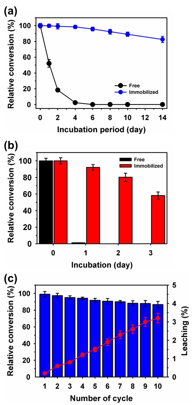 https://cdn.ncbi.nlm.nih.gov/pmc/blobs/f92b/10932307/5235024e469c/ijms-25-02746-g006.jpg