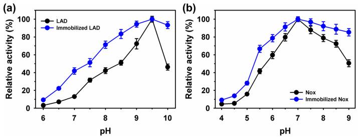 https://cdn.ncbi.nlm.nih.gov/pmc/blobs/f92b/10932307/fe017312c66e/ijms-25-02746-g002.jpg