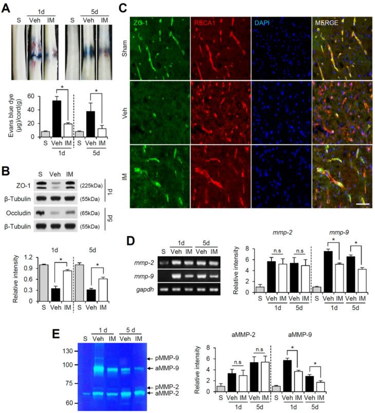 https://cdn.ncbi.nlm.nih.gov/pmc/blobs/f92b/12269138/5103bae8fdef/12987_2025_690_Fig3_HTML.jpg