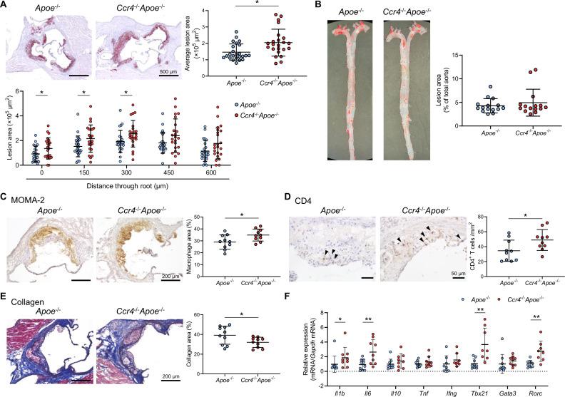 https://cdn.ncbi.nlm.nih.gov/pmc/blobs/f92d/12226018/0bb7b85f2866/elife-101830-fig1.jpg