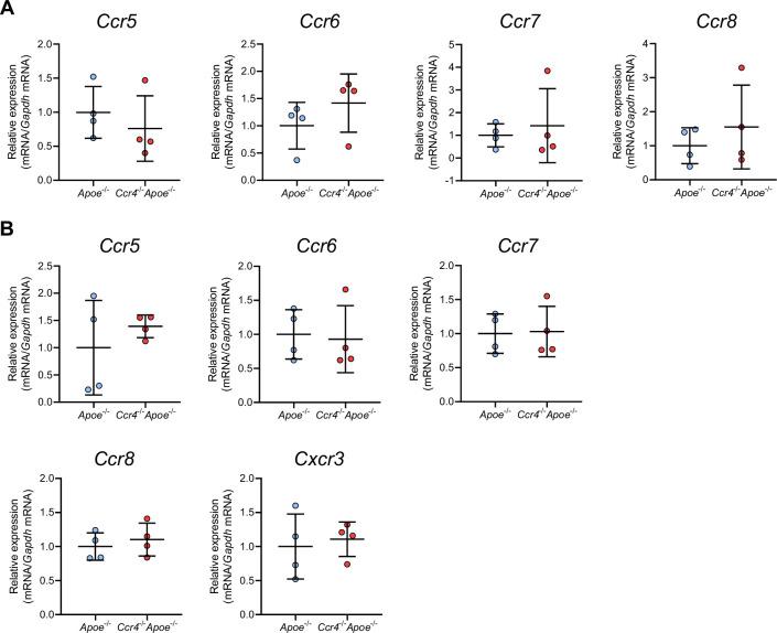 https://cdn.ncbi.nlm.nih.gov/pmc/blobs/f92d/12226018/4b3e1e66d8f3/elife-101830-fig4-figsupp2.jpg