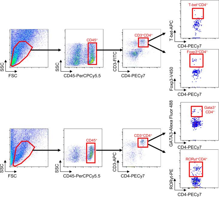 https://cdn.ncbi.nlm.nih.gov/pmc/blobs/f92d/12226018/ad6e8b5205ed/elife-101830-app4-fig1.jpg
