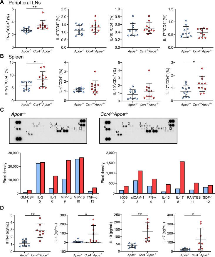 https://cdn.ncbi.nlm.nih.gov/pmc/blobs/f92d/12226018/b38500d67c10/elife-101830-fig3.jpg