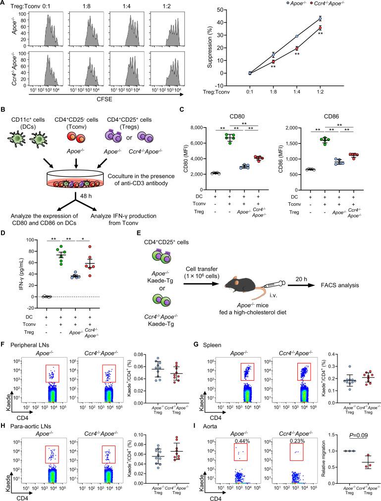 https://cdn.ncbi.nlm.nih.gov/pmc/blobs/f92d/12226018/bcc13990ae99/elife-101830-fig5.jpg