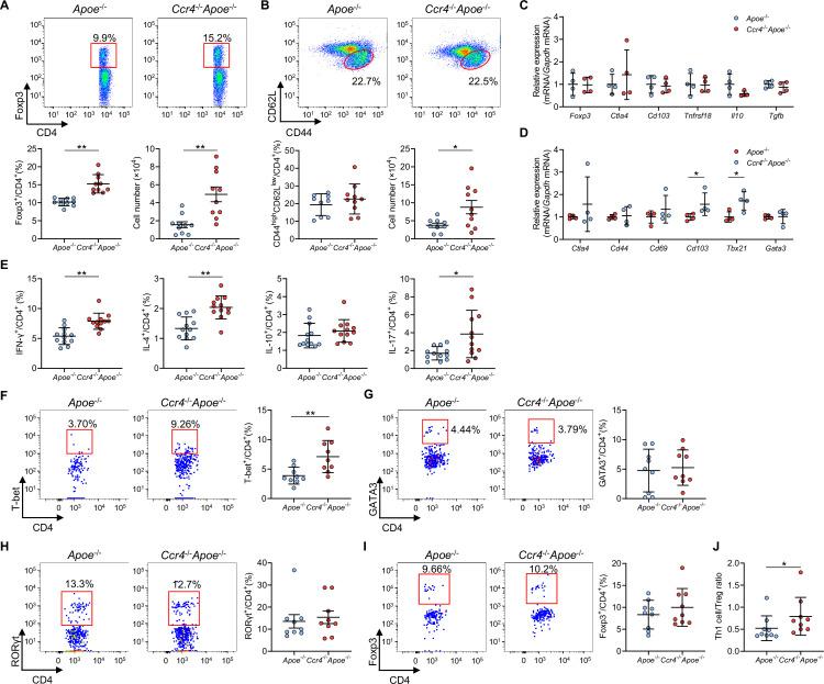 https://cdn.ncbi.nlm.nih.gov/pmc/blobs/f92d/12226018/dc79883f6a2d/elife-101830-fig4.jpg