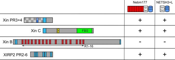https://cdn.ncbi.nlm.nih.gov/pmc/blobs/f92d/3810769/25d01f8971c5/3215fig2.jpg