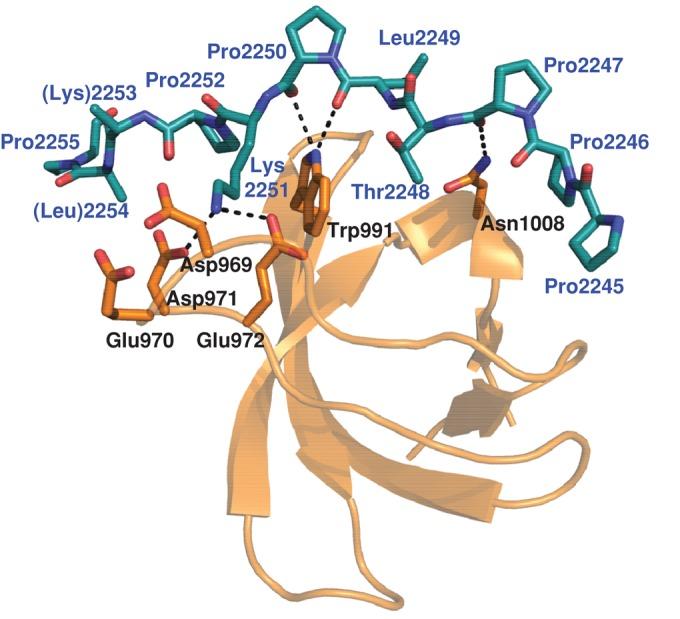 https://cdn.ncbi.nlm.nih.gov/pmc/blobs/f92d/3810769/606b9dda4857/3215fig5.jpg