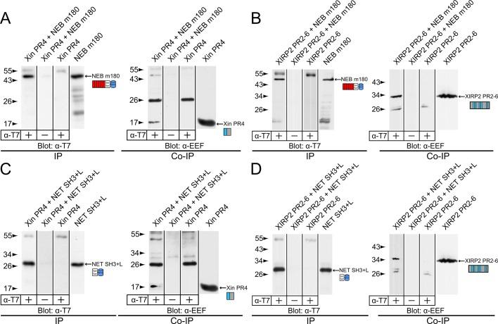 https://cdn.ncbi.nlm.nih.gov/pmc/blobs/f92d/3810769/b8e591629146/3215fig3.jpg