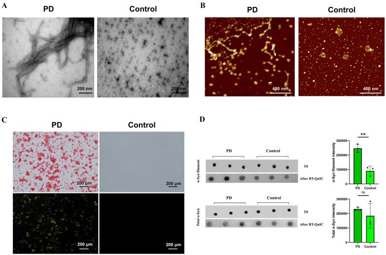 https://cdn.ncbi.nlm.nih.gov/pmc/blobs/f92e/10854029/ede71821a7bf/40001_2024_1705_Fig2_HTML.jpg
