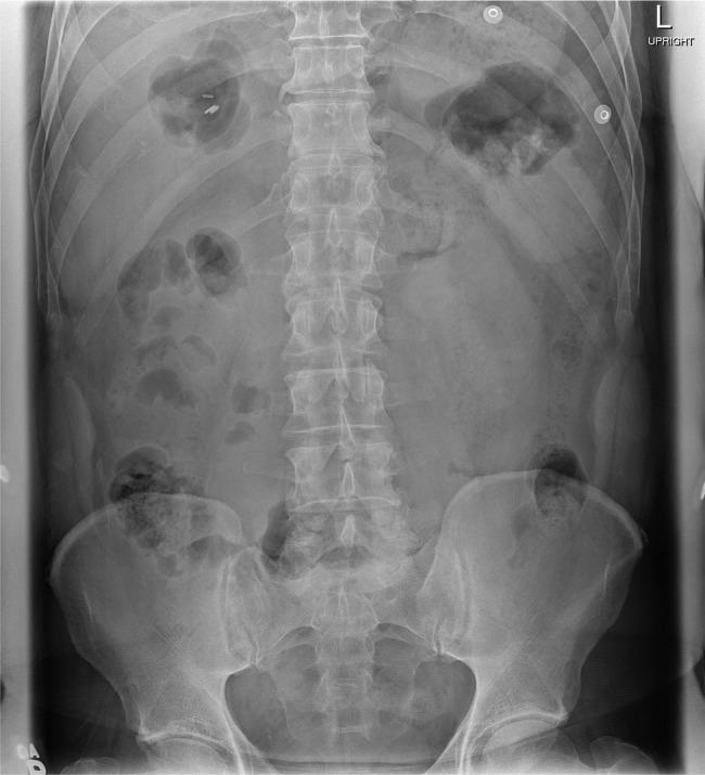 https://cdn.ncbi.nlm.nih.gov/pmc/blobs/f92e/4763165/aec7331fb140/rjw01702.jpg
