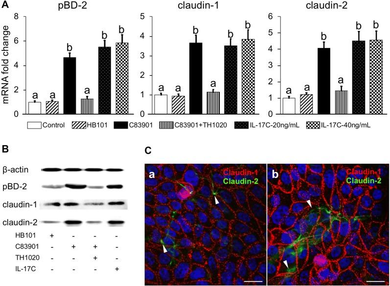 https://cdn.ncbi.nlm.nih.gov/pmc/blobs/f92e/6584996/7a813d988453/13567_2019_665_Fig4_HTML.jpg