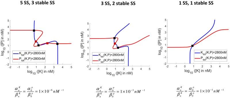 https://cdn.ncbi.nlm.nih.gov/pmc/blobs/f92f/5976211/020881777f7c/pcbi.1006107.g003.jpg