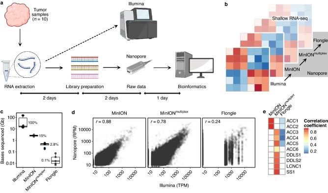 https://cdn.ncbi.nlm.nih.gov/pmc/blobs/f92f/9911782/f9d604711ce6/41598_2023_29550_Fig1_HTML.jpg