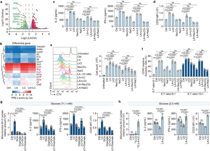 https://cdn.ncbi.nlm.nih.gov/pmc/blobs/f930/10907288/1f80566aebed/41590_2023_1738_Fig7_ESM.jpg