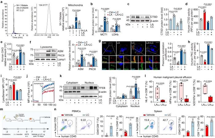 https://cdn.ncbi.nlm.nih.gov/pmc/blobs/f930/10907288/262c911428f0/41590_2023_1738_Fig14_ESM.jpg
