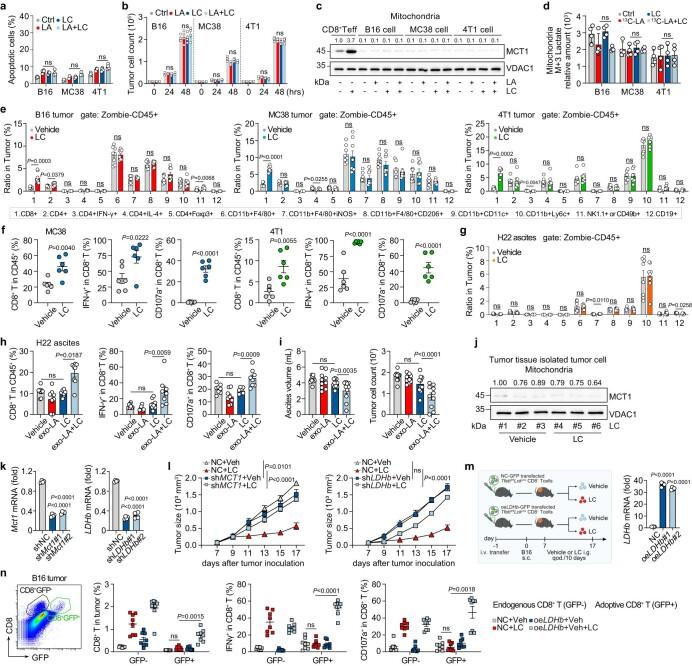 https://cdn.ncbi.nlm.nih.gov/pmc/blobs/f930/10907288/373504a5b839/41590_2023_1738_Fig12_ESM.jpg