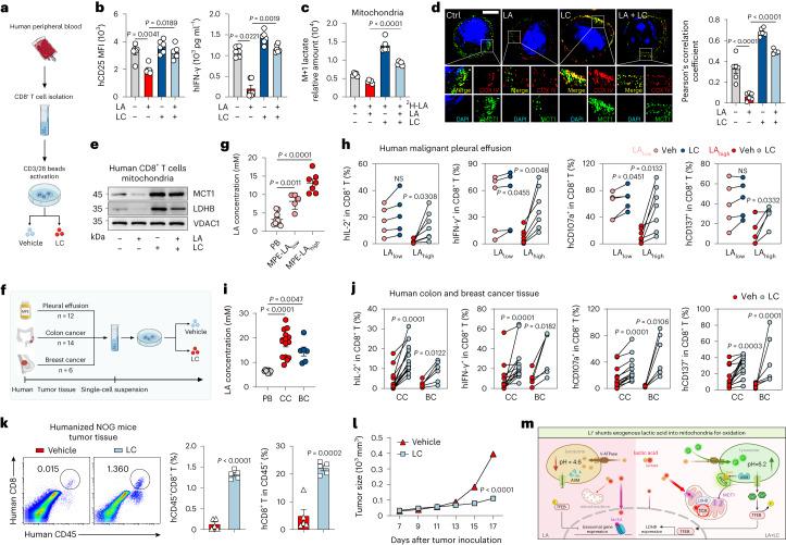 https://cdn.ncbi.nlm.nih.gov/pmc/blobs/f930/10907288/50524d0a586e/41590_2023_1738_Fig5_HTML.jpg