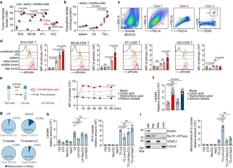 https://cdn.ncbi.nlm.nih.gov/pmc/blobs/f930/10907288/55de44dedc7d/41590_2023_1738_Fig6_ESM.jpg