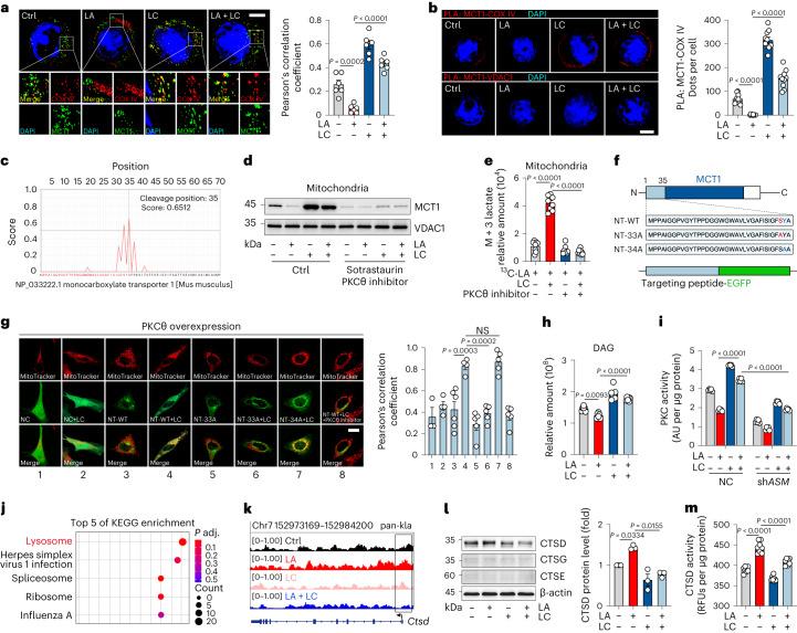 https://cdn.ncbi.nlm.nih.gov/pmc/blobs/f930/10907288/8efbcba8db5e/41590_2023_1738_Fig2_HTML.jpg