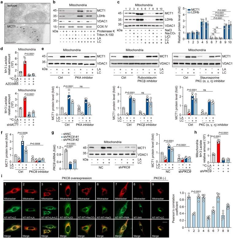 https://cdn.ncbi.nlm.nih.gov/pmc/blobs/f930/10907288/94de3131ec13/41590_2023_1738_Fig8_ESM.jpg