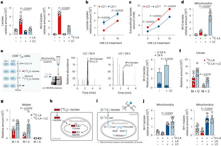 https://cdn.ncbi.nlm.nih.gov/pmc/blobs/f930/10907288/a099151a2cbe/41590_2023_1738_Fig1_HTML.jpg