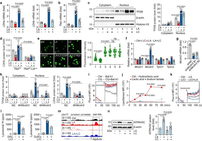 https://cdn.ncbi.nlm.nih.gov/pmc/blobs/f930/10907288/f511421eba49/41590_2023_1738_Fig10_ESM.jpg