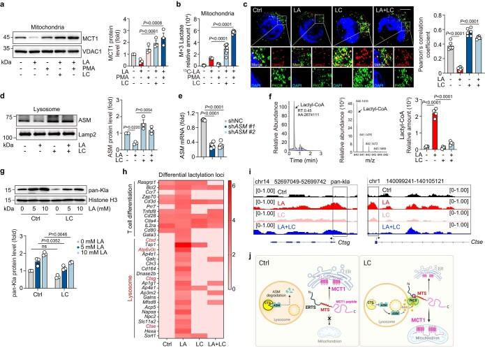 https://cdn.ncbi.nlm.nih.gov/pmc/blobs/f930/10907288/f7041cc29df0/41590_2023_1738_Fig9_ESM.jpg