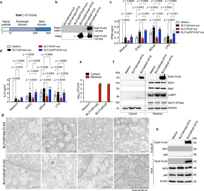 https://cdn.ncbi.nlm.nih.gov/pmc/blobs/f931/10090168/6976e317669e/41467_2023_37812_Fig4_HTML.jpg