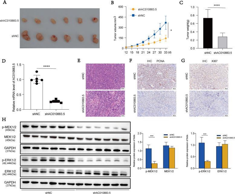 https://cdn.ncbi.nlm.nih.gov/pmc/blobs/f931/10120252/1a309a155e69/12885_2023_10825_Fig5_HTML.jpg