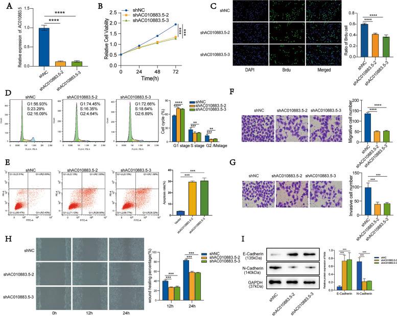 https://cdn.ncbi.nlm.nih.gov/pmc/blobs/f931/10120252/9d72fed44a66/12885_2023_10825_Fig2_HTML.jpg