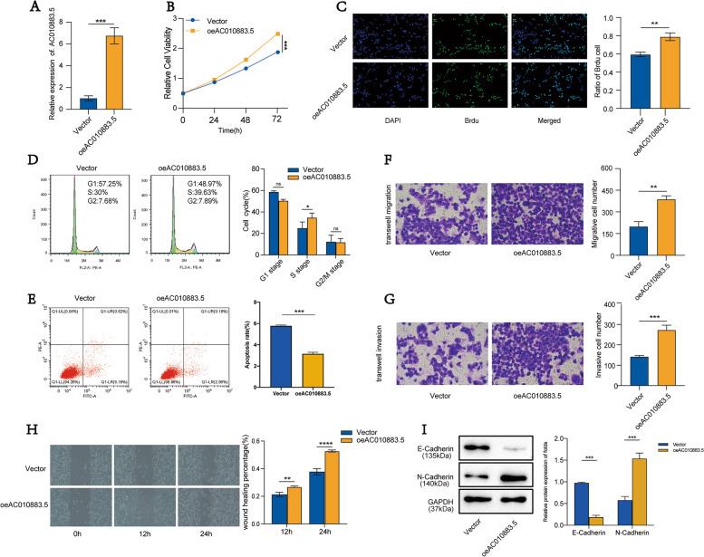 https://cdn.ncbi.nlm.nih.gov/pmc/blobs/f931/10120252/e30855aa17f4/12885_2023_10825_Fig3_HTML.jpg