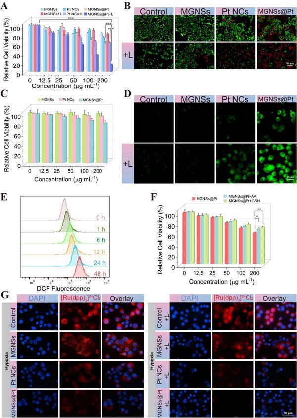 https://cdn.ncbi.nlm.nih.gov/pmc/blobs/f931/12302635/cfc88a3209a8/ADVS-12-2502688-g005.jpg