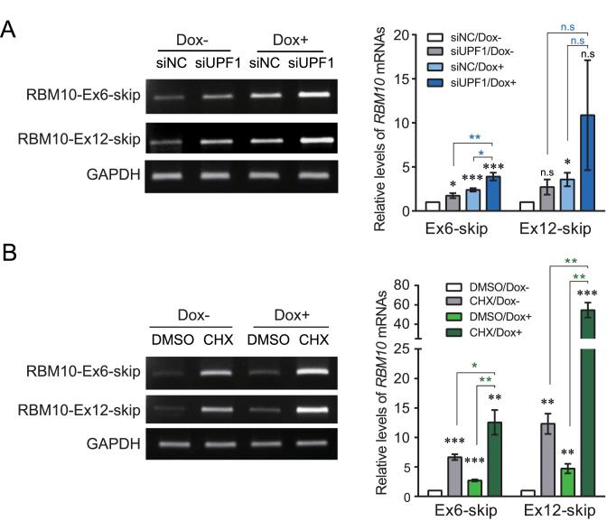 https://cdn.ncbi.nlm.nih.gov/pmc/blobs/f931/5737846/383334b58534/gkx508fig4.jpg