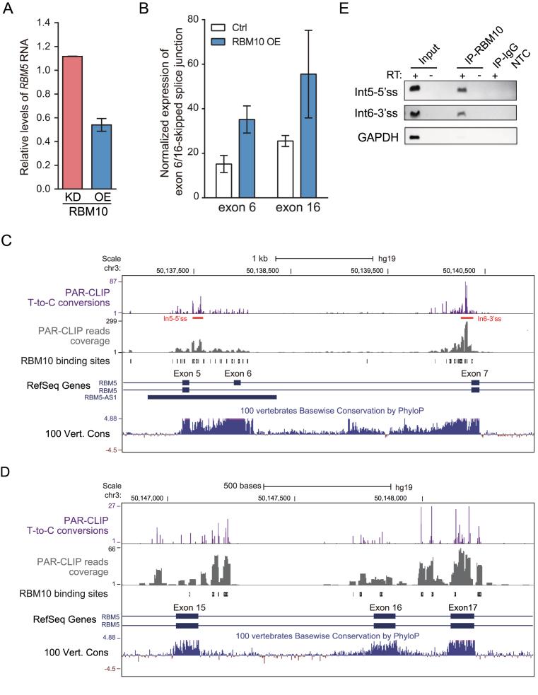 https://cdn.ncbi.nlm.nih.gov/pmc/blobs/f931/5737846/8a66a5819dd5/gkx508fig5.jpg