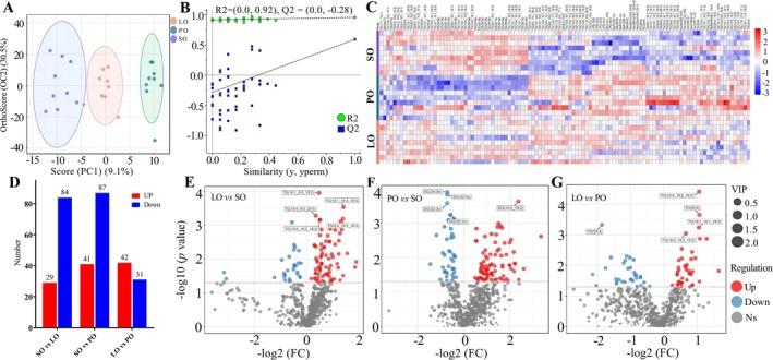 https://cdn.ncbi.nlm.nih.gov/pmc/blobs/f933/12121528/245a43e9c808/FSN3-13-e70291-g002.jpg
