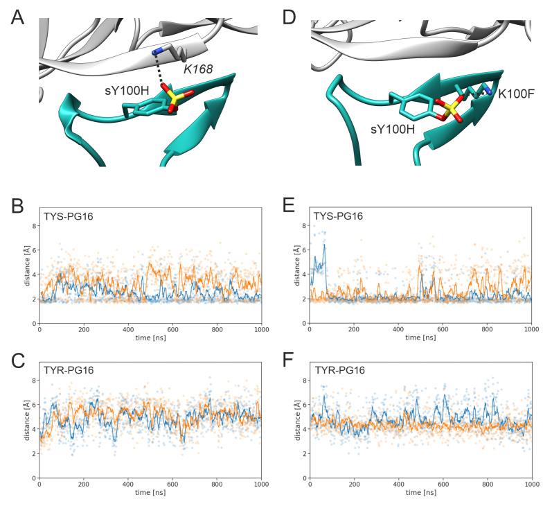https://cdn.ncbi.nlm.nih.gov/pmc/blobs/f936/10295463/cdea17c96dc5/biology-12-00824-g005.jpg