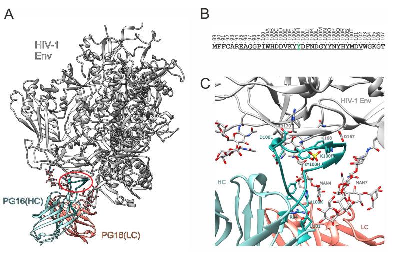 https://cdn.ncbi.nlm.nih.gov/pmc/blobs/f936/10295463/ef4d7149b5c2/biology-12-00824-g001.jpg