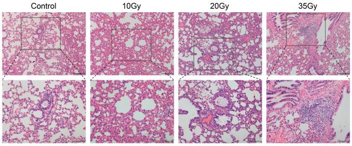 https://cdn.ncbi.nlm.nih.gov/pmc/blobs/f937/10536118/962da47fc5cb/metabolites-13-01020-g001.jpg