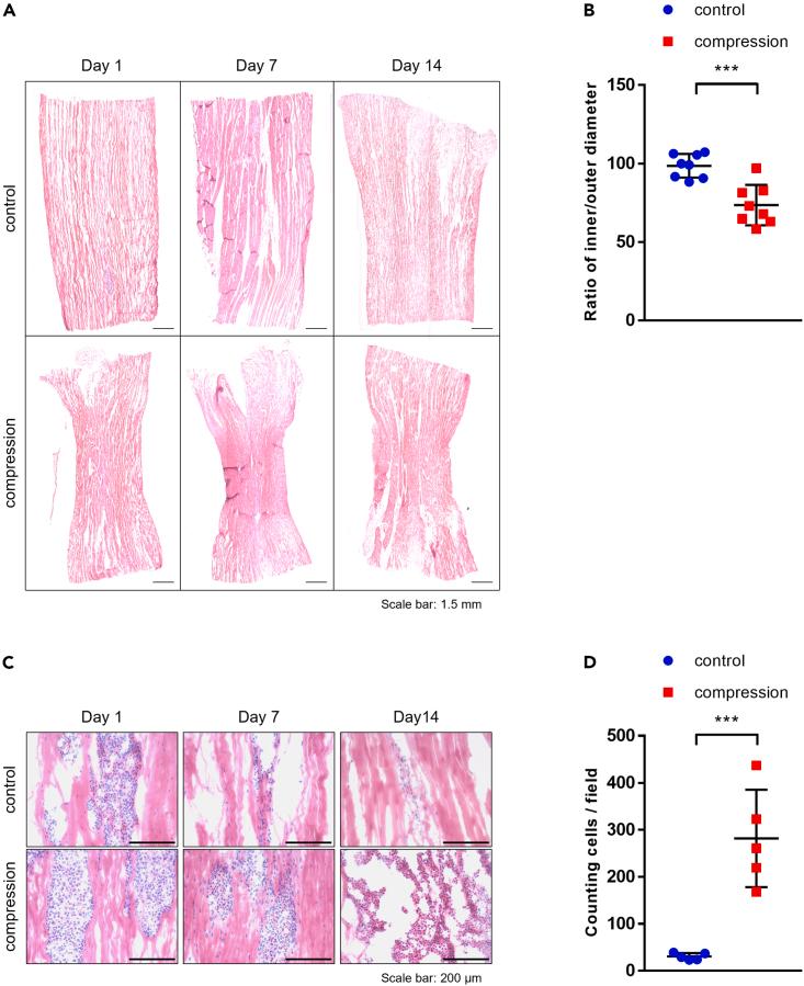 https://cdn.ncbi.nlm.nih.gov/pmc/blobs/f938/10755058/69d831372053/gr1.jpg