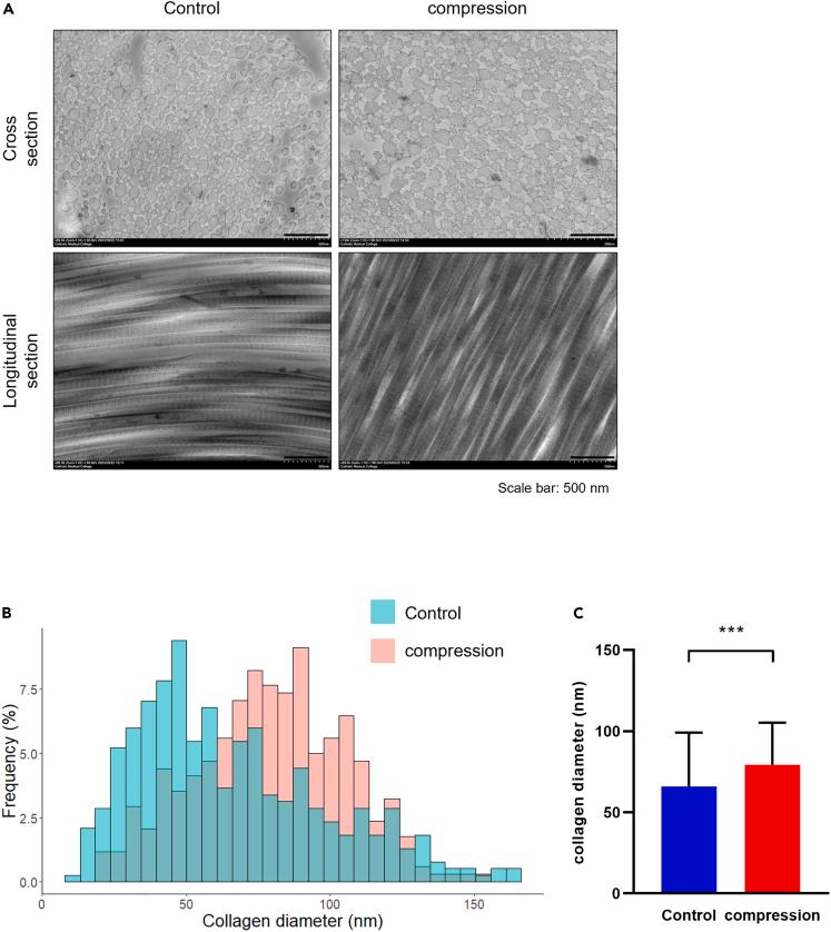 https://cdn.ncbi.nlm.nih.gov/pmc/blobs/f938/10755058/7df1a3ffa383/gr5.jpg