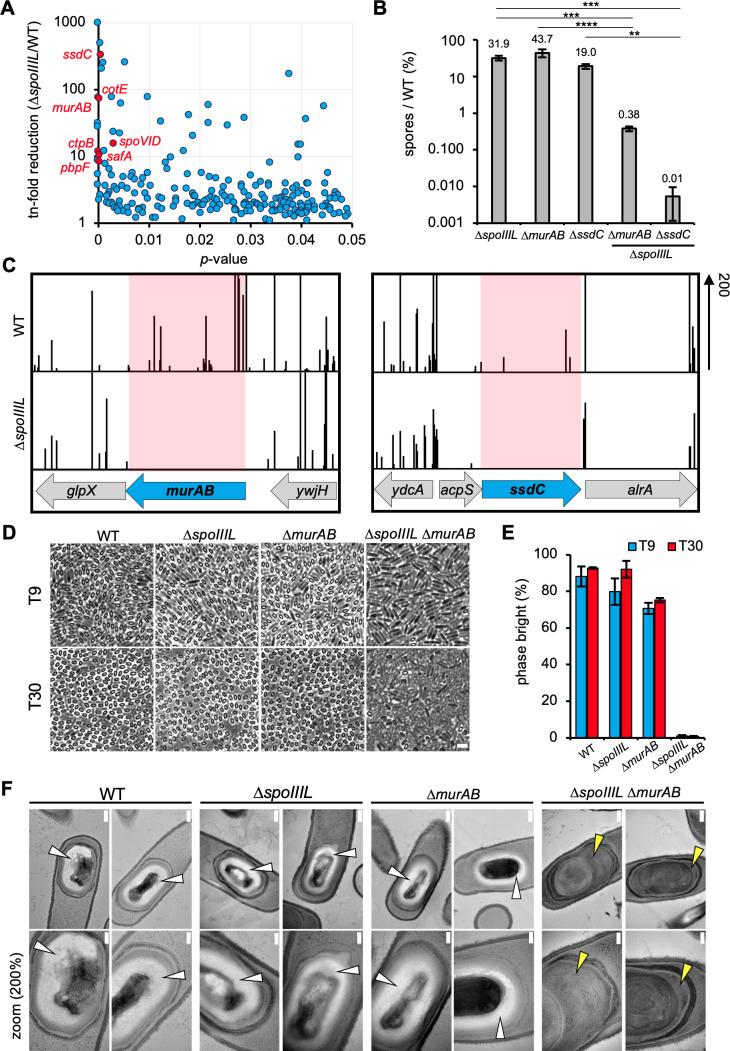 https://cdn.ncbi.nlm.nih.gov/pmc/blobs/f938/12251134/413ac5514725/pgen.1011768.g003.jpg
