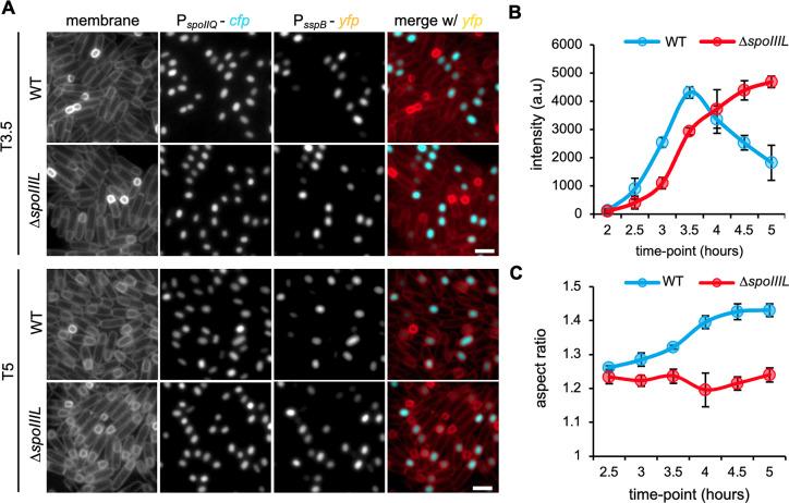 https://cdn.ncbi.nlm.nih.gov/pmc/blobs/f938/12251134/9b6d6ca6d09b/pgen.1011768.g001.jpg